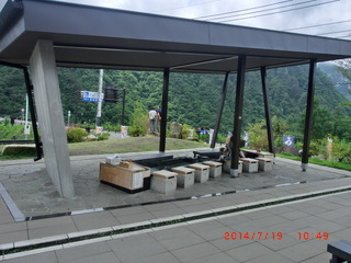 CIMG8429-hayasi.JPG
