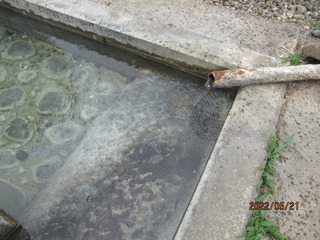 IMG_7771asi.JPG