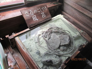 IMG_8242yu.JPG