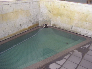 P6100217.JPG